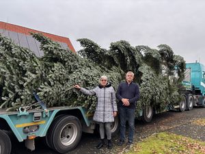 Weihnachtsmarkt Tanne 2025