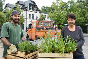 Die neue Bepflanzung am Lippebug bietet in Zukunft ein Zuhause für zahlreiche Insekten. Gemeinsam mit den Kollegen vom Baubetriebshof hat Sascha Zelesnik-Hartmann (r.) die Bepflanzung umgesetzt. Foto: Stadt Lippstadt
