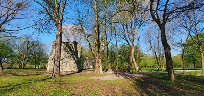 Burgruine Lipperode