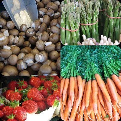 Markt-Nasch-Tour