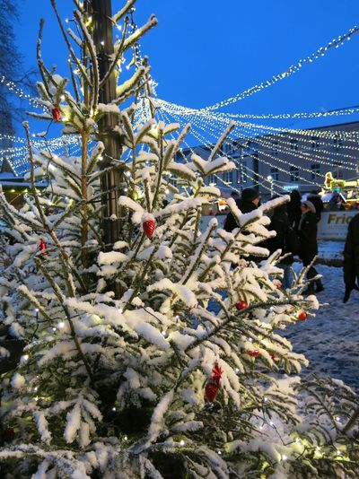 Weihnachtsmarkt 2017