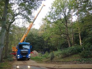 Die Baumaßnahmen im Kurpark sind gestartet: Bis Ende November sollen die Arbeiten am Nebelwald fertiggestellt sein. In Betrieb geht der Nebelwald dann im Frühjahr 2023. Foto: Stadt Lippstadt