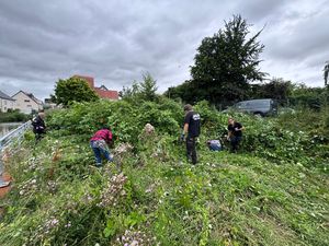 Rund 25 Engagierte der Igelhilfe durchsuchten im Vorfeld von Mäh- und Rückschnittarbeiten ehrenamtlich Flächen nach Igeln. Foto: Stadt Lippstadt