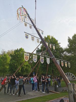 Maibaumaufstellen