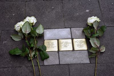 Stolpersteine für die Familie Grüneberg vor dem Haus Woldemei 8. Foto: Stadt Lippstadt