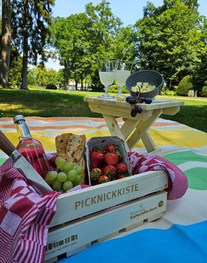 Picknick Bad Waldliesborn 