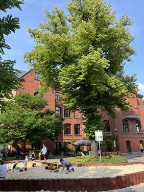 In der Reihe „FREI ZEIT STADT Lippstadt“ steht diesmal der Innenhof der Thomas-Valentin-Stadtbücherei im Zentrum. Foto: WFL