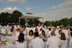 Diner en blanc (2019)
