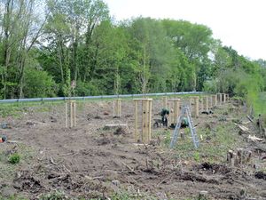 Auf rund 2.000 Quadratmetern werden im Bereich Hellinghäuser Weg/ Im Nahtfeld derzeit heimische Bäume und Wildgehölze angepflanzt. Foto: Stadt Lippstadt