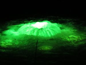 Lichtpromenade - Undine