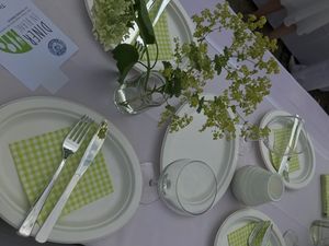 Diner en blanc_Tischdeko