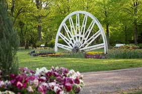 Bad Waldliesborn Foto: Sandra Püttmann