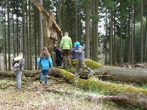 In den Osterferien können die Kinder auf einer Entdeckungsreise das „Abenteuer Wald“ erleben. Foto: Stadt Lippstadt
