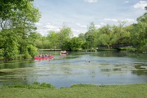Grüner Winkel mit Kanu 