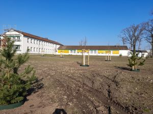 An der Grundschule am Weinberg wurden insgesamt 40 Bäume neu gepflanzt. Foto: Stadt Lippstadt