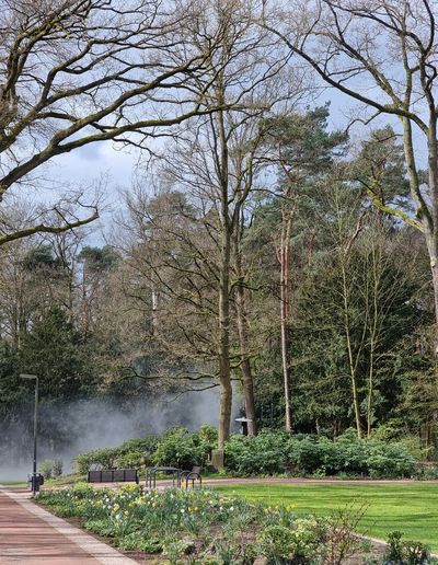 Nebelweg Kurpark 