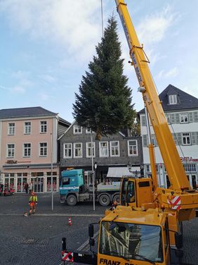 Aufbau große Tanne (c) Silke Baitinger