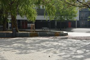 Die neu gestalteten Baumeinfassungen in Ellipsenform sind prägende Elemente der Schulhofneugestaltung. Foto: Stadt Lippstadt