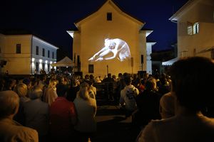 Im Rahmen von „Licht der weißen Wände“ werden die Fotoserien, mit denen sich auch Lippstädter Künstler im Projekt „HANSEartWORKS“ bewerben können, beim 39. Internationalen Hansetag in Pskow gezeigt. Foto: privat
