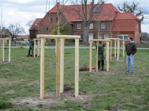 Alte Birnensorten haben in Rebbeke ihren Platz gefunden. Foto: Stadt Lippstadt