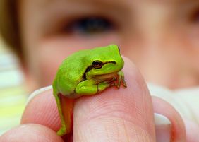 Natur- und Landschaftsführer gesucht (2) 