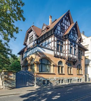 Die Villa Maxilla kann am 24. Mai besichtigt werden. Foto: Jörg Hempel