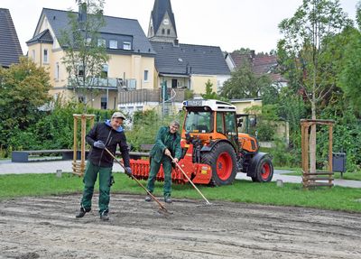 Im Südertorpark Ost ist auf einer 500 Quadratmeter großen Fläche die „Lippstädter Mischung“ ausgebracht worden. Foto: Stadt Lippstadt