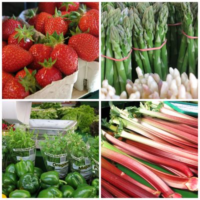 Markt-Nasch-Tour