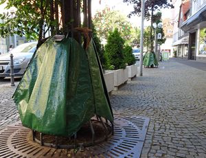 An verschiedenen Stellen im Stadtgebiet - wie hier an der Cappelstraße - setzt die Stadt auf mobile Bewässerungssysteme, durch die das Wasser nach und nach an die Erde abgegeben wird. Foto: Stadt Lippstadt