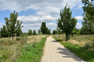 Blühende Vielfalt am Schanzenweg. Foto: Stadt Lippstadt