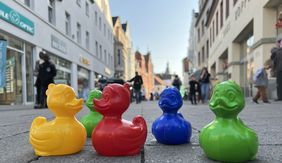 Enten in der Innenstadt