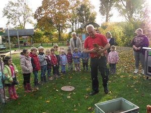 : In der Kita Rixbeck konnten die Kinder sich zwei Wochen um vier Hühner kümmern. Besitzer Bernhard Schäfer gab am Anfang eine Einführung „rund ums Huhn“. Foto: Stadt Lippstadt
