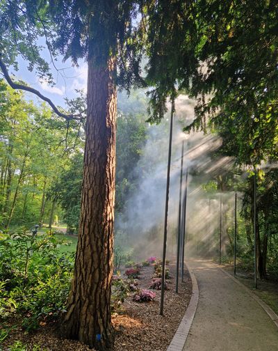 Nebelweg Kurpark 