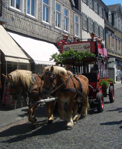 Altstadtfest - Berliner Bus