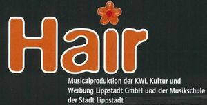 HAIR 2020, altes Logo