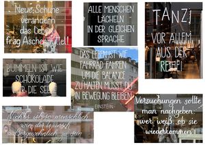 Collage einiger Fenster in der Alststadt