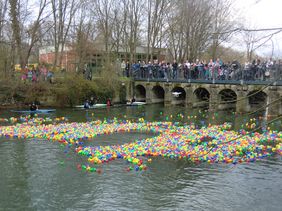 Entenrennen zum Lippstädter Lenz