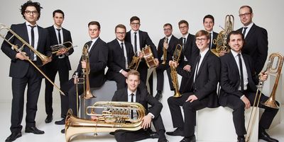 Salaputia_Brass