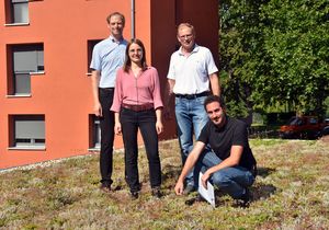 Björn Bühlmeier und Laura Radtke vom städtischen Fachdienst Stadtplanung und Umweltschutz, GWL-Geschäftsführer Johannes Althoff und Bauleiter Stephen Barrett (v.l.) sind mit dem Ergebnis der Maßnahme im Wohngebiet Am Rüsing zufrieden: Insgesamt 450 Quadratmeter Dachfläche sind dank der Landesförderung jetzt begrünt. Foto: Stadt Lippstadt