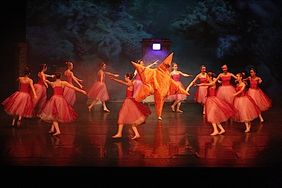 Ballett Mickeleit 2013 