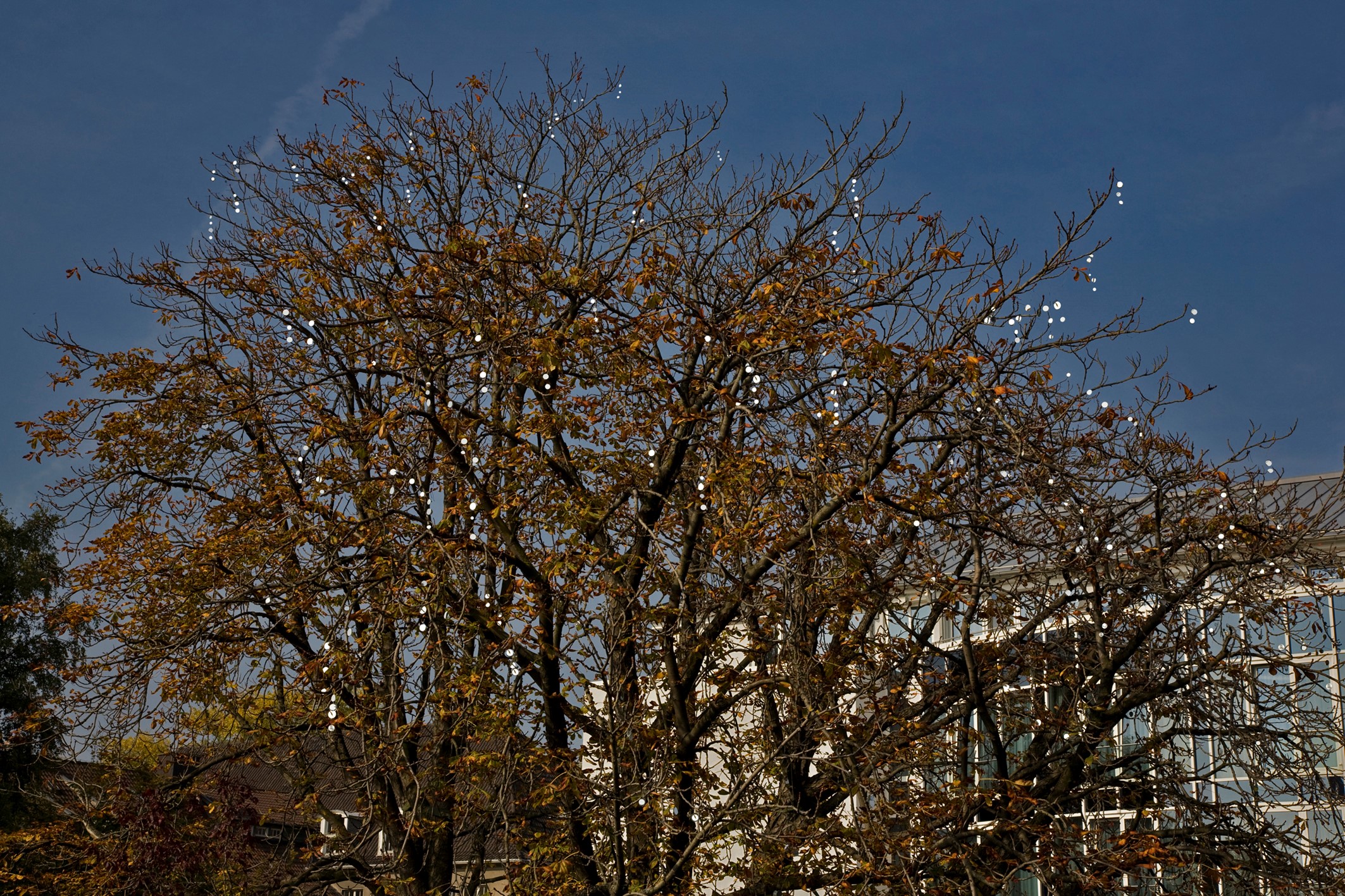 Der Glitzerbaum am Lippebug. Foto: Werner Hannappel