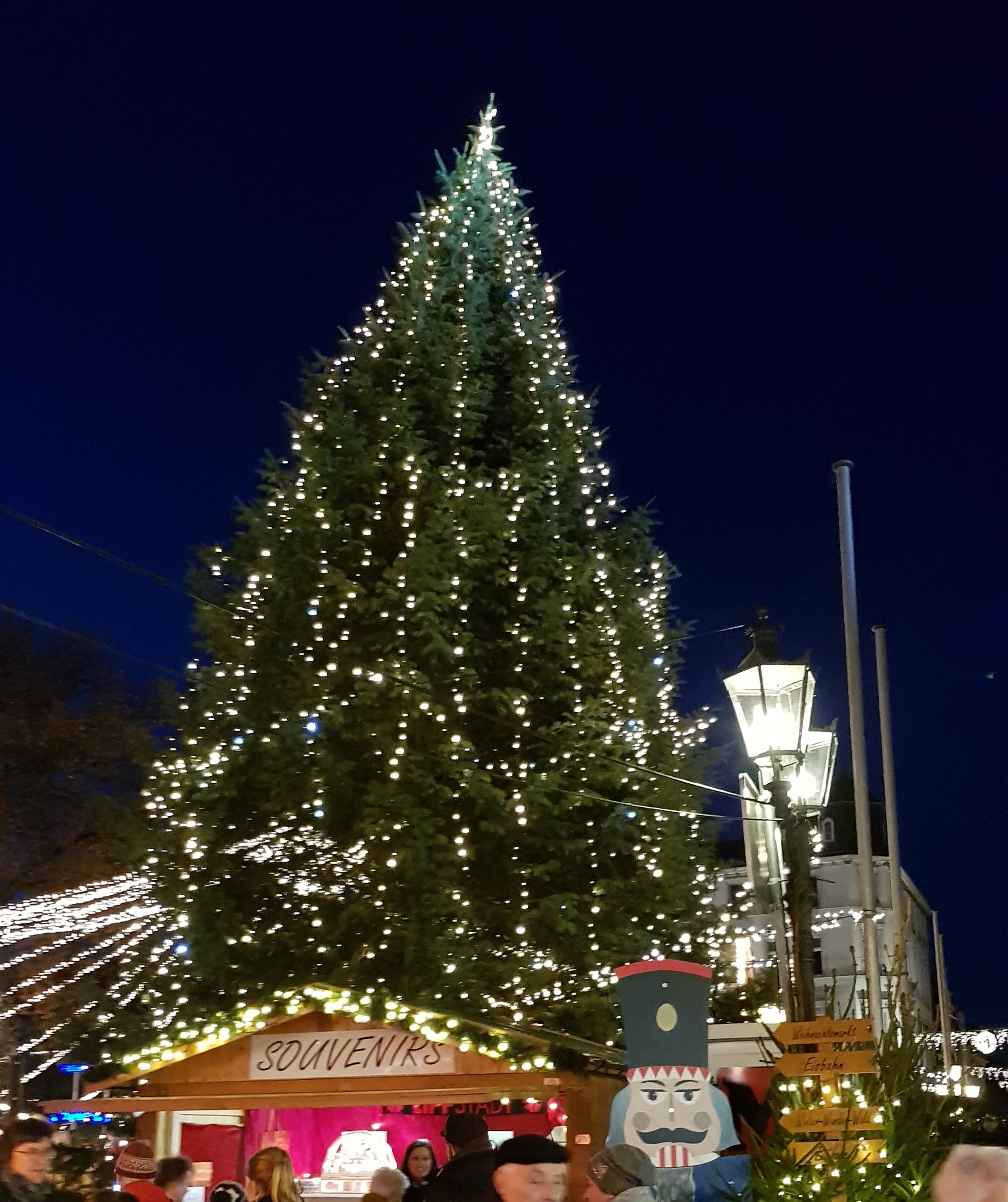 Weihnachtsbaum gesucht!2