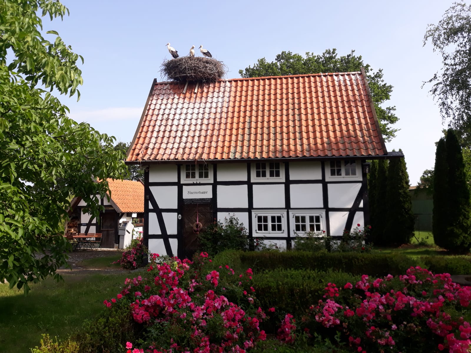 Storchenhof Verlar 