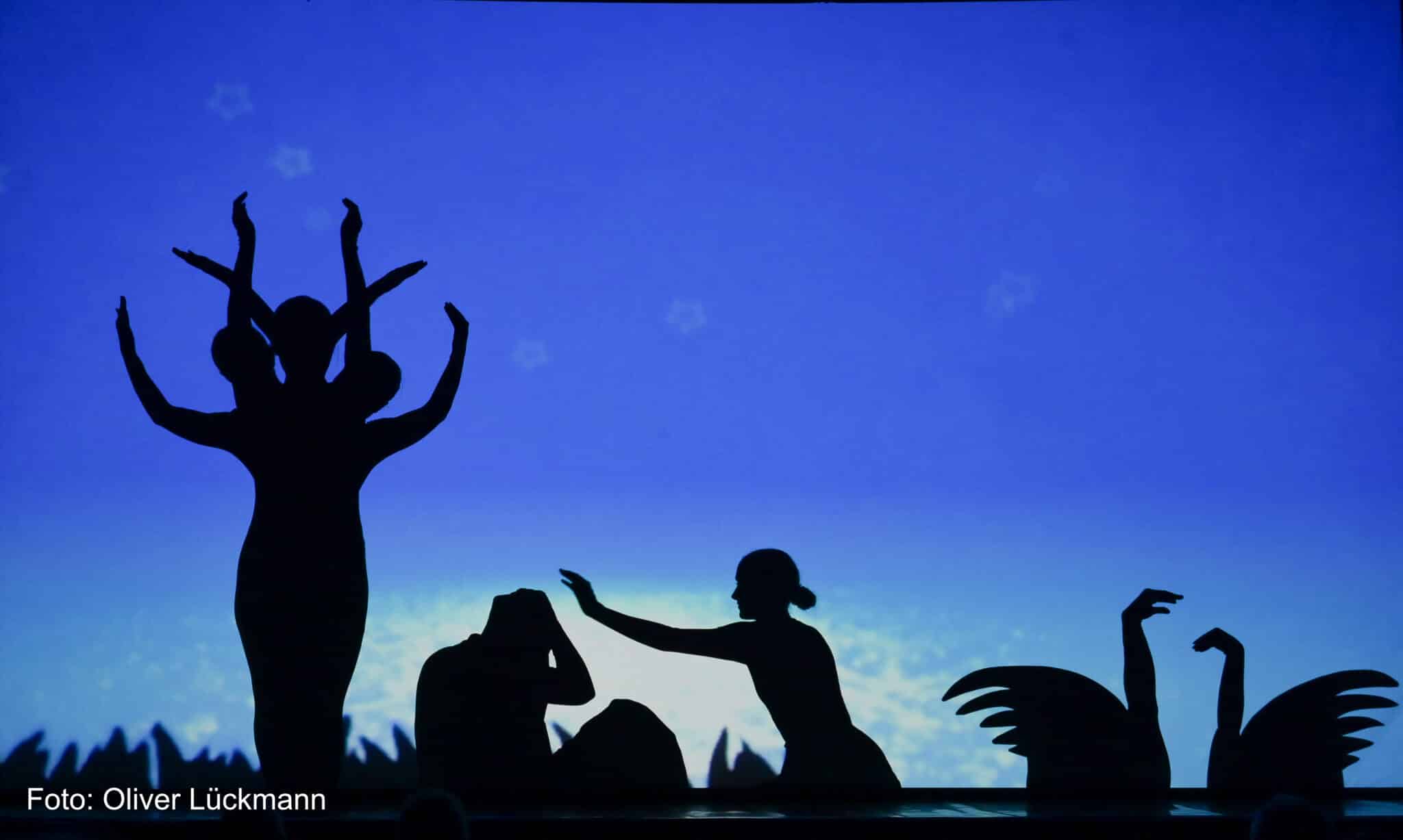  Amazing Shadows