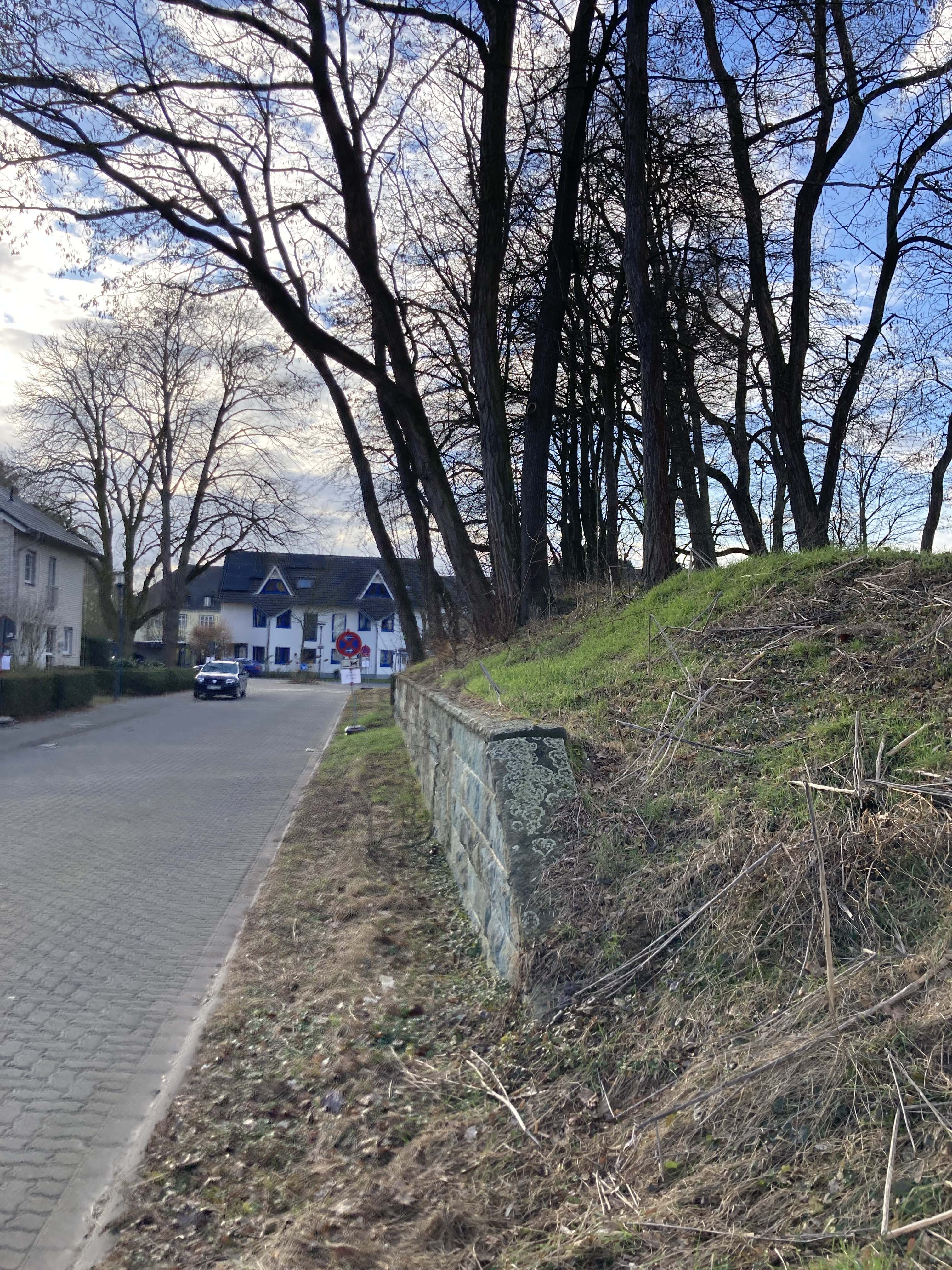 An der Von-Tresckow-Straße müssen einige Bäume und Sträucher entfernt wer-den. Foto: Stadt Lippstadt
