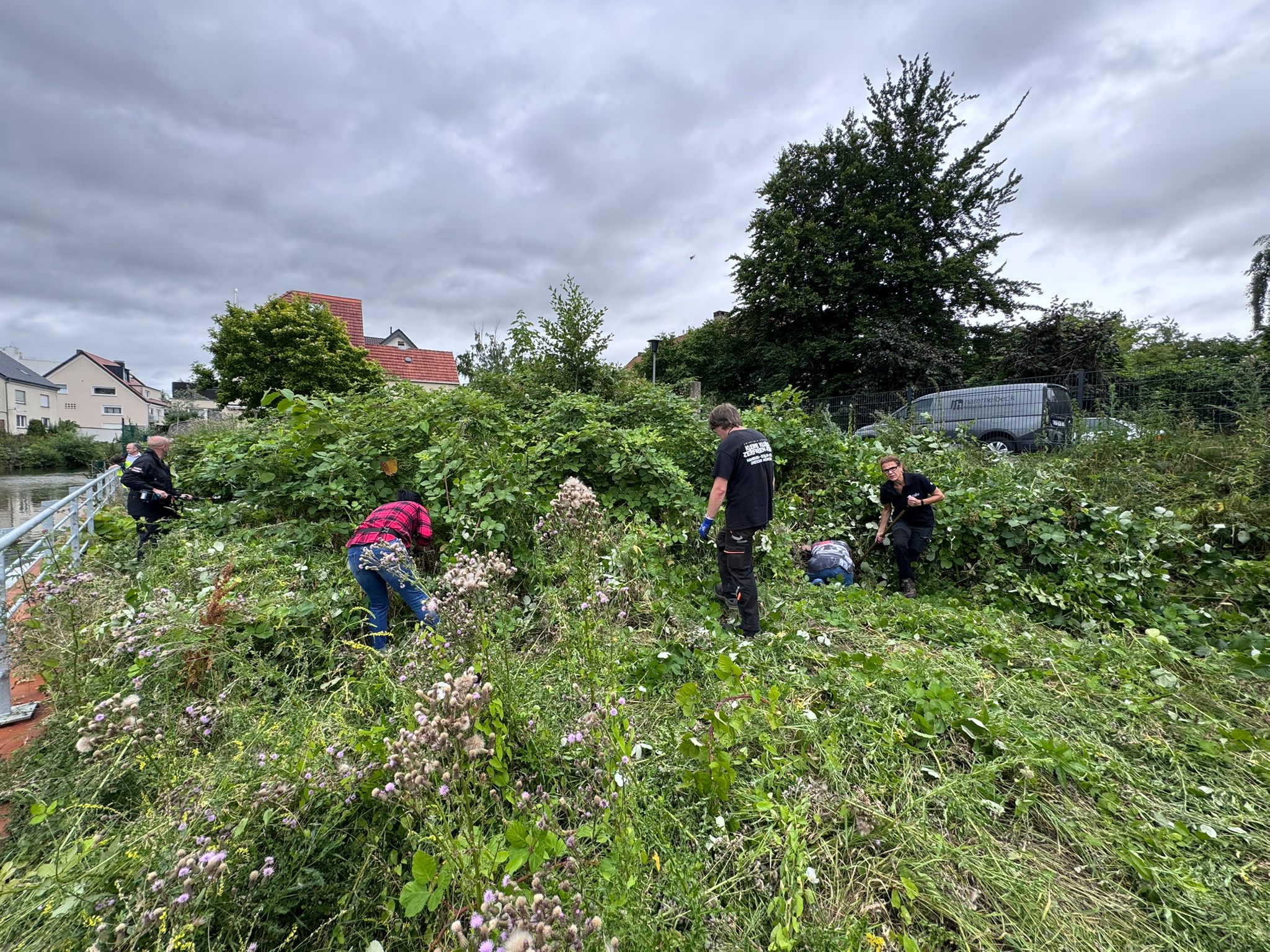Rund 25 Engagierte der Igelhilfe durchsuchten im Vorfeld von Mäh- und Rückschnittarbeiten ehrenamtlich Flächen nach Igeln. Foto: Stadt Lippstadt