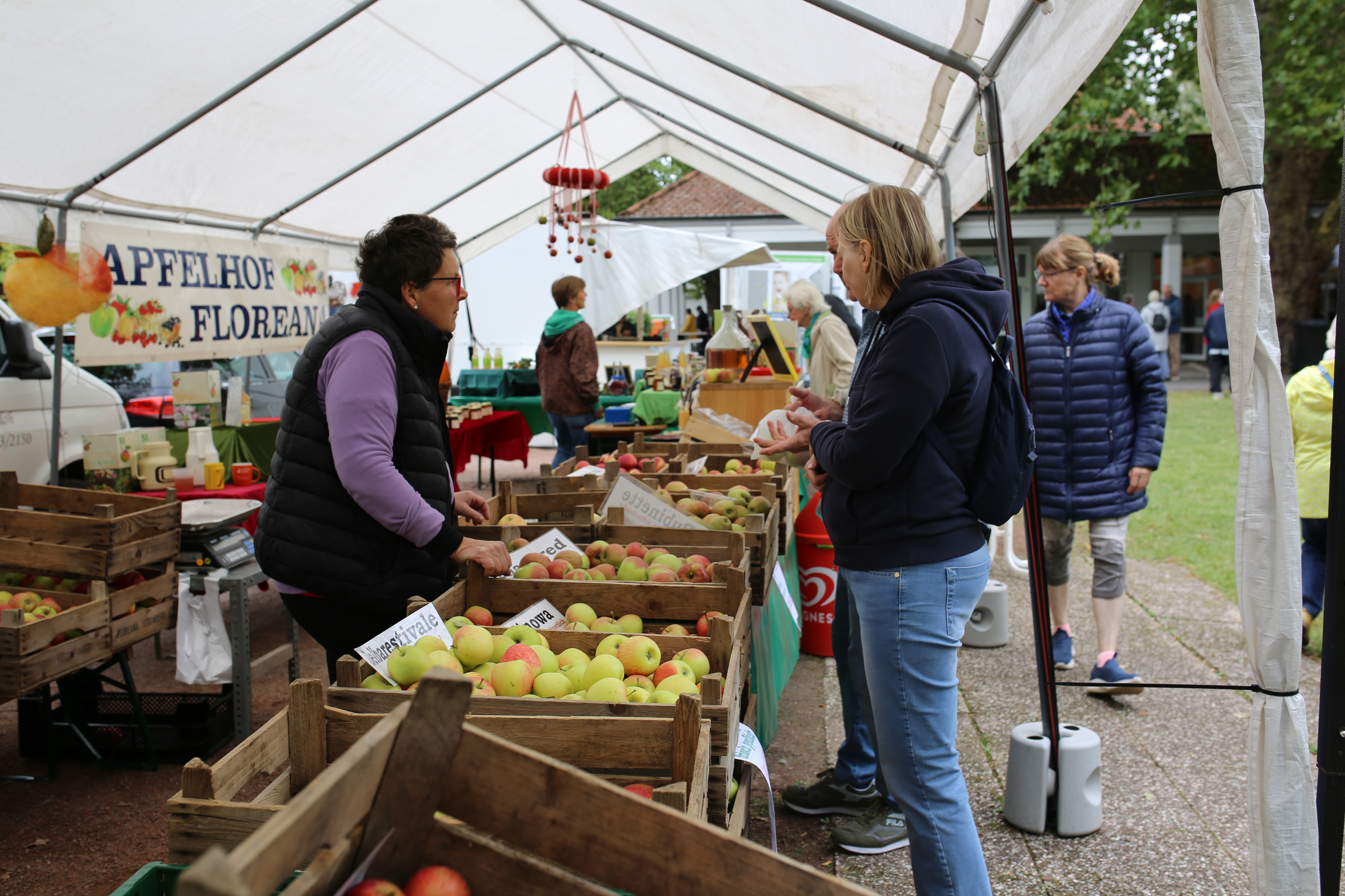Apfelfest Bad Waldliesborn 2025